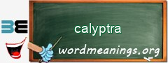 WordMeaning blackboard for calyptra